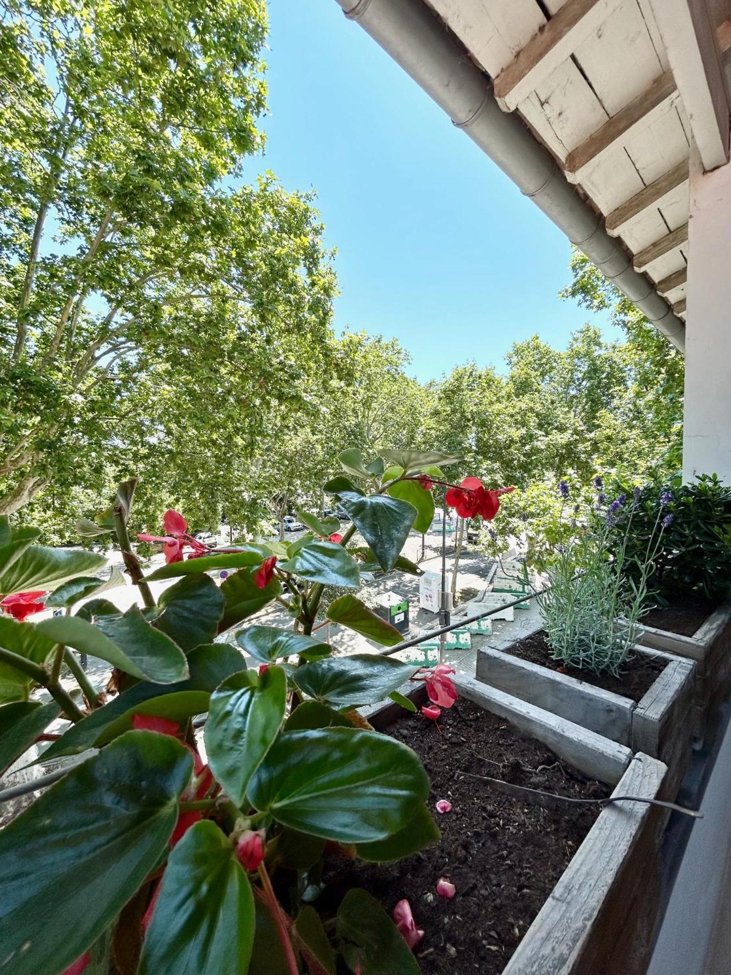 Loft Garonne - Centre Ville Immeuble Privatif Тулуза Экстерьер фото