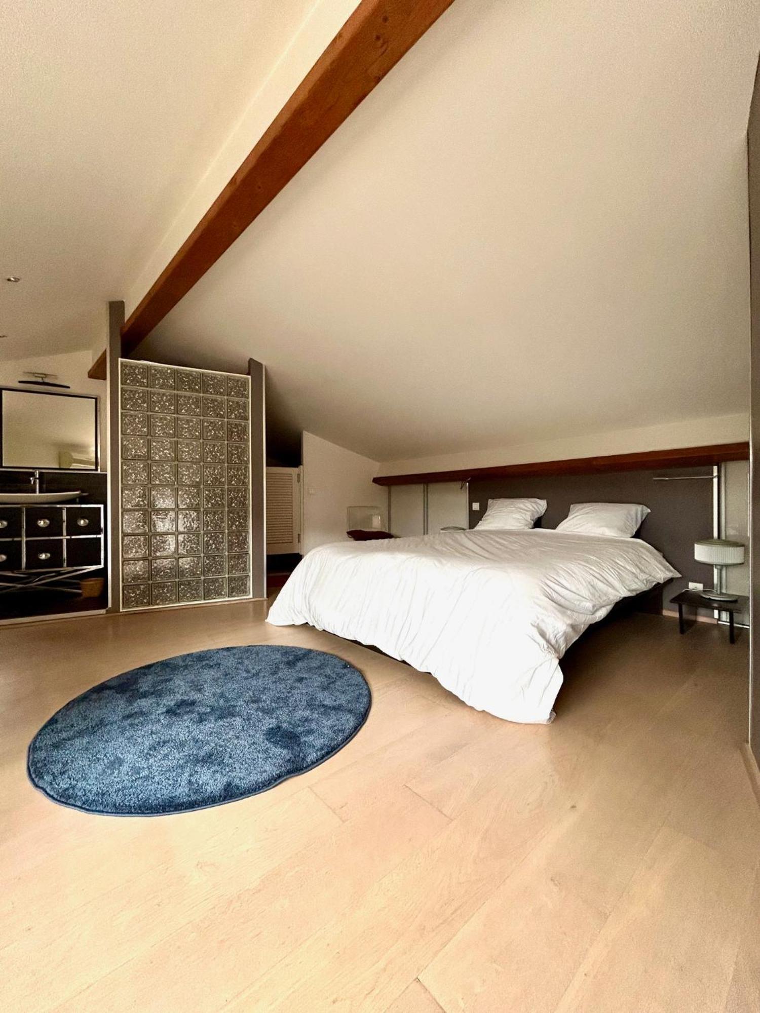 Loft Garonne - Centre Ville Immeuble Privatif Тулуза Экстерьер фото