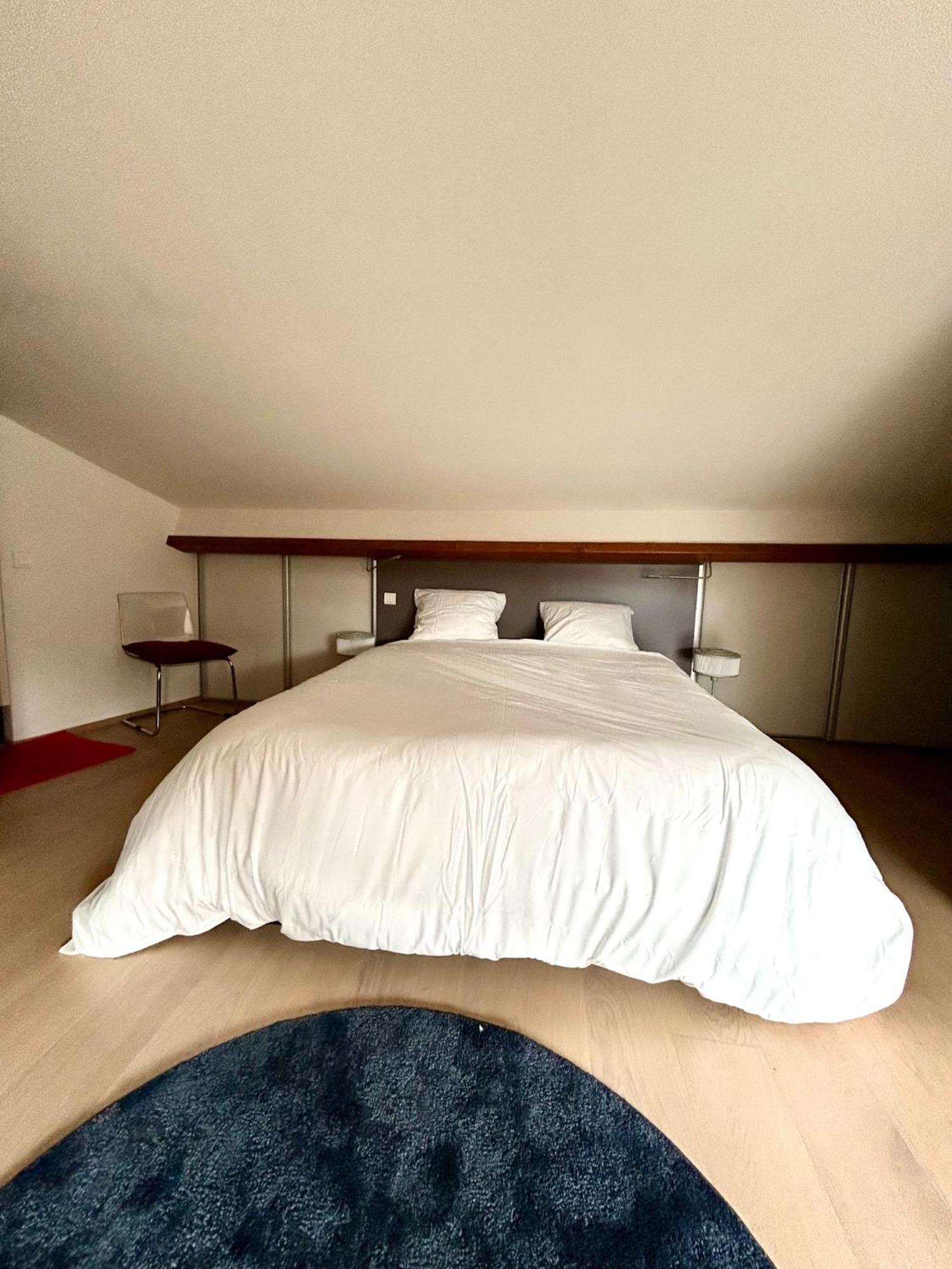 Loft Garonne - Centre Ville Immeuble Privatif Тулуза Экстерьер фото