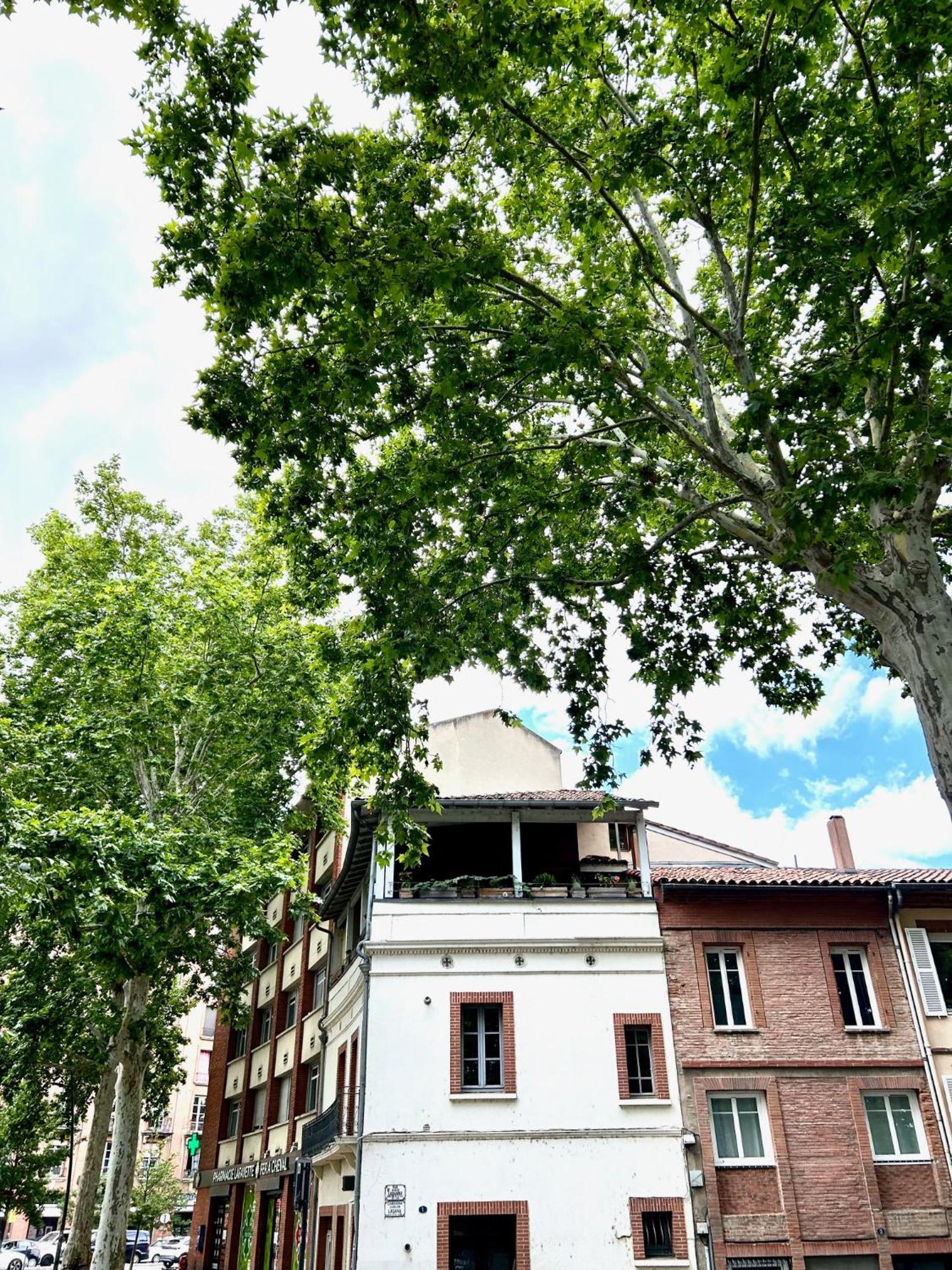 Loft Garonne - Centre Ville Immeuble Privatif Тулуза Экстерьер фото